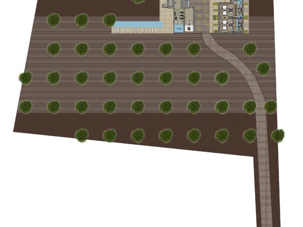 area masseria collepasso _page-0001