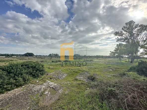 MasseriapistaNardò-Teminopremiumproperites (10)