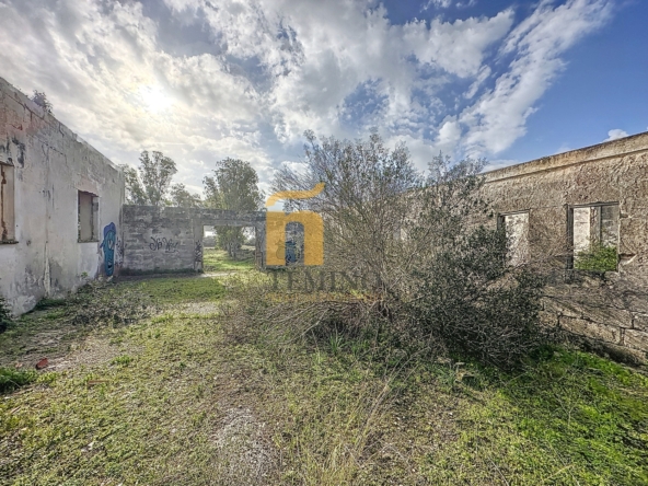 MasseriapistaNardò-Teminopremiumproperites (15)