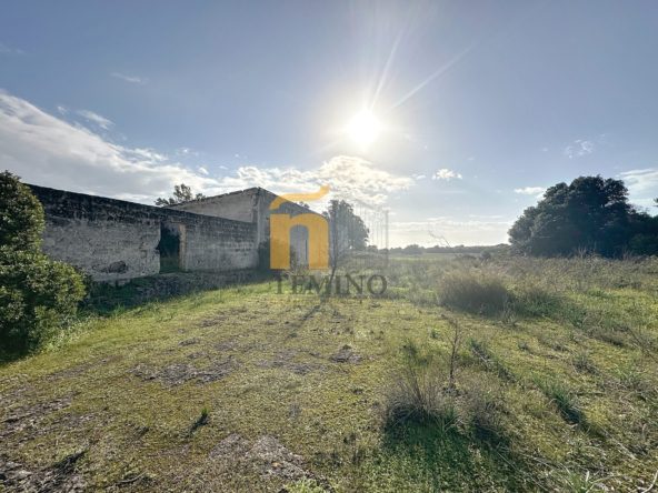 MasseriapistaNardò-Teminopremiumproperites (21)