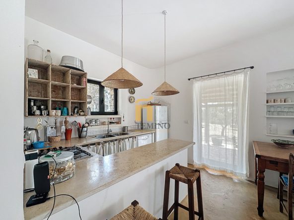 TrulloCarovigno-TemiñoPremiumProperties (3)