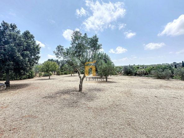 TrulloCarovigno-TemiñoPremiumProperties (37)