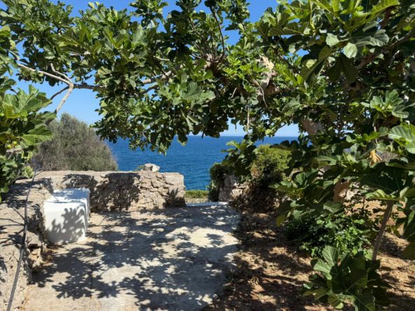 Marina(Diso)villasulmare-TemiñoPremiumProperties (2)