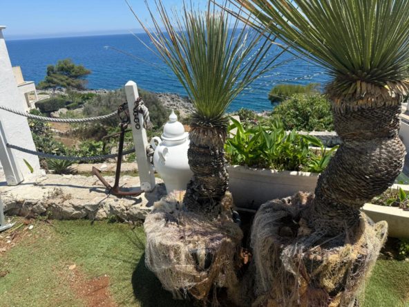 Marina(Diso)villasulmare-TemiñoPremiumProperties (29)