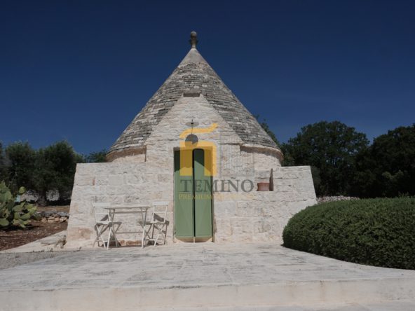 Ostuniconpiscina-Teminopremiumproperties (16)